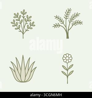 Un delicato pannello botanico di piante variegate, tra cui arbusti ramificati, rosetta di agave e fiori arrotondati sui gambi. Illustrazione Vettoriale