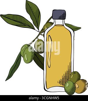 Olio d'oliva in bottiglia e ramificato con frutta e foglie verdi grafica vettoriale a linee con inchiostro a colori. Vaso in vetro isolato cartoni animati con coperchio in sughero e. Illustrazione Vettoriale
