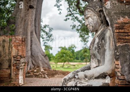 Yadana Hsemee Pagoda Complex Statua di Buddha con grande albero Inwa Myanmar // INWA, REGIONE DI MANDALAY, Myanmar — Una statua di Buddha seduto intemprata, probabilmente fatta di stucco o pietra, è annidata tra le antiche rovine in mattoni del complesso della Pagoda Yadana Hsemee (noto anche come Yadanar Hsemee). Questo complesso storico è notevole per la sua collezione di stupa in rovina e immagini di Buddha, spesso intrecciate con grandi alberi antichi. Il complesso della Pagoda Yadana Hsemee si trova a Inwa (nota anche come Ava), un'ex capitale reale del Myanmar. Inwa, insieme alla vicina Amarapura, si trova nel Mandalay Regi Foto Stock