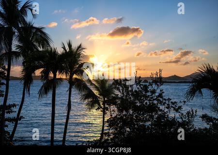 Tramonto su San Tommaso da Gallows Point Cruz Bay St John USVI // ST JOHN USVI - Un tramonto proietta luce dorata sull'acqua come si vede da Gallows Point nella Cruz Bay, con l'isola di St. Thomas visibile in lontananza. Le palme sagomate incorniciano la scena tropicale, con il cielo che mostra sfumature di arancione, giallo e blu. Le Isole Vergini americane, un territorio statunitense nei Caraibi, sono conosciute per le loro spiagge incontaminate e i vibranti tramonti. Gallows Point è un famoso punto panoramico su St. John, che offre vedute panoramiche delle isole e delle acque circostanti. Foto Stock