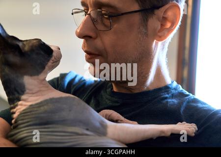Un uomo che indossa gli occhiali tiene un gatto Sphynx tra le braccia mentre guarda l'animale al chiuso, mostrando una stretta relazione e affetto tra il proprietario A. Foto Stock
