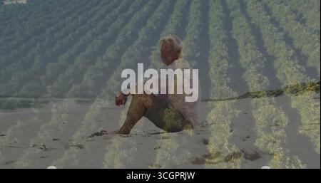 Uomo seduto ad osservare l'orizzonte sulla spiaggia sabbiosa, con l'orologio e la sovrapposizione di piante verdi Foto Stock