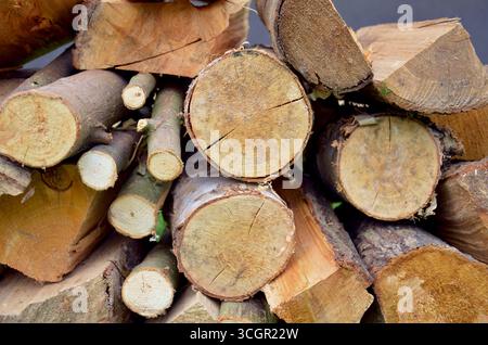 Legna da ardere Stacked Cut Foto Stock