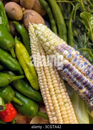 Raccolta autunnale canadese di verdure cimellate, erbe e frutta Foto Stock