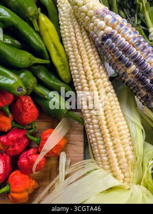 Raccolta autunnale canadese di verdure cimellate, erbe e frutta Foto Stock