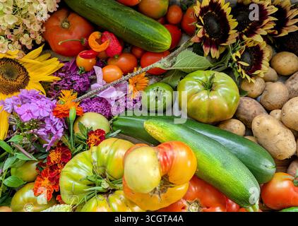 Raccolta autunnale canadese di verdure cimellate, erbe e frutta Foto Stock