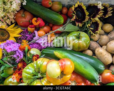 Raccolta autunnale canadese di verdure cimellate, erbe e frutta Foto Stock