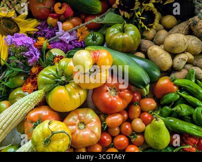 Raccolta autunnale canadese di verdure cimellate, erbe e frutta Foto Stock