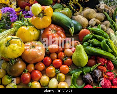 Raccolta autunnale canadese di verdure cimellate, erbe e frutta Foto Stock