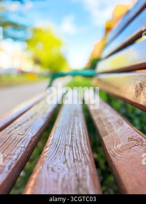 Primo piano di una panchina di legno in un parco con uno sfondo sfocato di verde, sentiero e una giornata di sole Foto Stock
