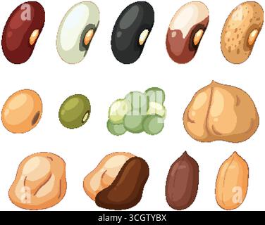 Illustrazione vettoriale colorata di fagioli e legumi assortiti in stile cartoni animati piatti con contorni puliti. Illustrazione Vettoriale
