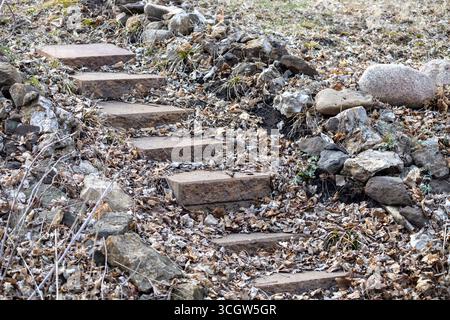Scala rustica all'aperto fatta di blocchi di pietra calcarea, che scende lungo una breve collina in primavera o in autunno Foto Stock