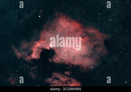 Wimbledon, Londra, Regno Unito. 30 agosto 2025. La Nebulosa del Nord America, NGC 7000, brilla al di sopra di Londra in questa esposizione di 1,5 ore, scattata con una telecamera astro e un telescopio ad alta risoluzione, l'evidente bagliore rosso di questa nebulosa a emissione massiccia nella costellazione del Cygnus causata dal gas idrogeno. Crediti: Malcolm Park/Alamy Foto Stock