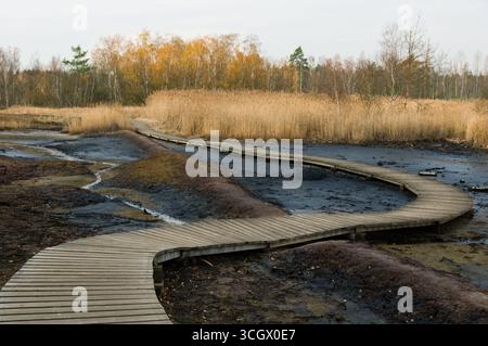 Sentiero in legno nella riserva naturale nazionale di Soos, Repubblica Ceca. Foto Stock