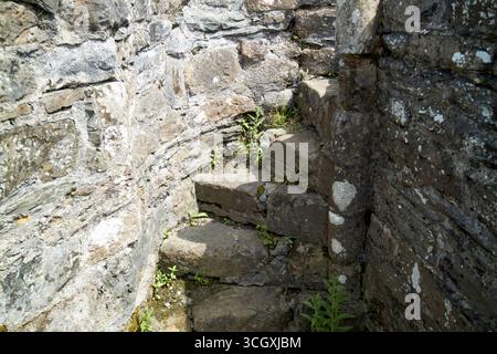 vecchia scala circolare in pietra mellifont abbazia contea di louth repubblica d'irlanda Foto Stock