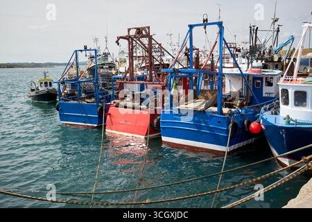 pescherecci da traino nel porto clogherhead oriel harbor county louth repubblica d'irlanda Foto Stock