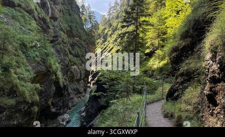 Una foresta lussureggiante circonda una stretta gola di montagna con un sentiero tortuoso. La luce del sole filtra attraverso gli alberi, illuminando il verde fogliame e le ripide pareti rocciose. Foto Stock