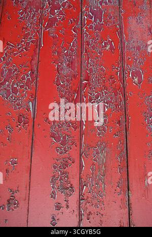 Sbucciatura della vernice su una vecchia porta di legno rossa Foto Stock