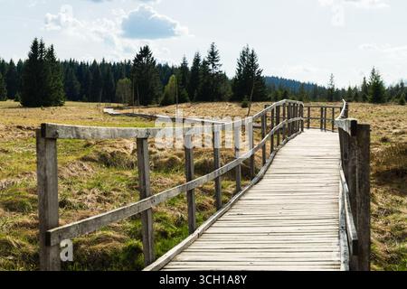 Sentiero in legno che attraversa la torbiera Bozi Dar a Bozi Dar, Repubblica Ceca. Foto Stock