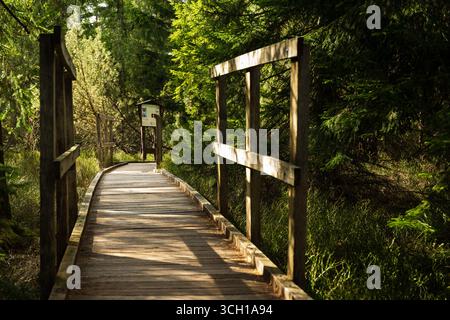 Sentiero in legno che attraversa la torbiera Bozi Dar a Bozi Dar, Repubblica Ceca. Foto Stock