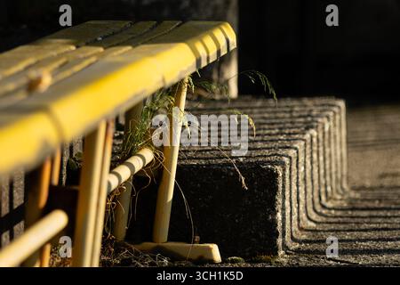 File di posti gialli allo stadio sportivo Strahov abbandonato e in rovina a Praga. Foto Stock