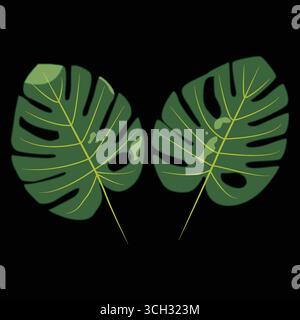 Impianto Monstera con sfondo nero Illustrazione Vettoriale