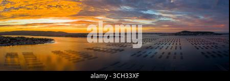 Vista panoramica dell'alba sulla laguna di Thau, sulle fattorie di ostriche e sui loro tavoli. Foto Stock