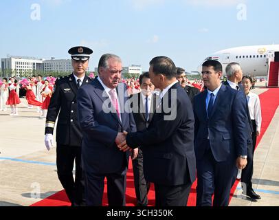 Tianjin, Cina. 31 agosto 2025. Il presidente tagiko Emomali Rahmon arriva per il vertice 2025 dell'Organizzazione di cooperazione di Shanghai (SCO) a Tianjin, nel nord della Cina, 31 agosto 2025. Crediti: Zhao Zishuo/Xinhua/Alamy Live News Foto Stock
