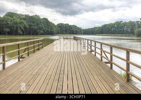 Molo in legno su un lago calmo sotto un cielo nuvoloso, circondato da lussureggianti alberi verdi. Ambiente naturale tranquillo e sereno. Foto Stock