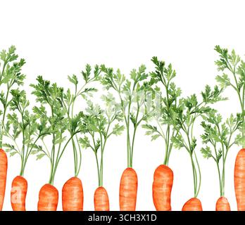 Bordo di carote arancioni con colori ad acquerello senza cuciture e sommità verdi. Schema disegnato a mano Foto Stock
