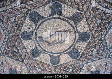 Antico mosaico con design a base di pesce e motivi geometrici dalla Casa del Anfiteatro a Merida, Spagna Foto Stock
