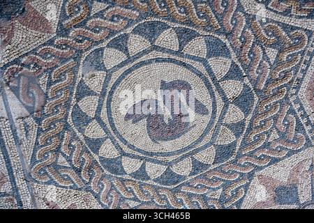 Antico mosaico con un motivo di serpente centrale circondato da motivi geometrici dalla Casa del Anfiteatro a Merida, Spagna Foto Stock