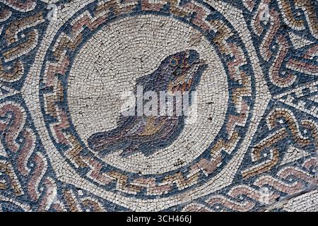 Antico mosaico raffigurante un pesce circondato da intricati motivi geometrici dalla Casa del Anfiteatro a Merida, Spagna Foto Stock