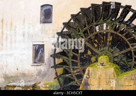 Ruota idraulica storica, una volta utilizzata per alimentare un mulino. Il muschio e le alghe mostrano la sua età e la costante esposizione all'acqua. Una reliquia dell'industria passata. (138 caratteri Foto Stock