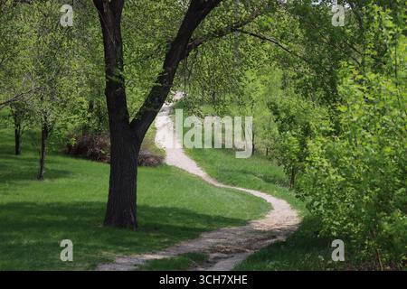 sentiero ciclabile per escursioni in ghiaia che si snoda in discesa e si arrampica tra erba grossa e alberi in una giornata di primavera assolata Foto Stock