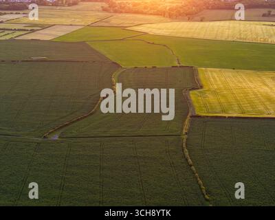 Mosaico di campi agricoli e siepi, vista aerea al tramonto, Wirral, Inghilterra Foto Stock