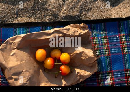 Frutta appena raccolta appoggiata su carta marrone vicino alla riva Foto Stock