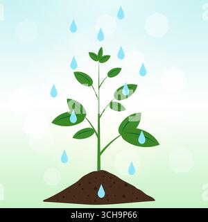 Impianto di irrigazione. Versare acqua all'impianto. Giardinaggio. Coltivare piante. Illustrazione vettoriale. Illustrazione Vettoriale