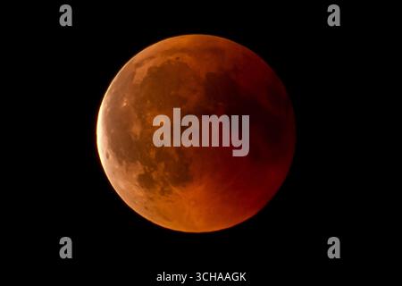 Mondfinsternis vom 27.07.2018 über Soest totale Mondfinsternis mit Blutmond über Deutschland *** eclissi lunare dal 27 07 2018 sopra Soest eclissi lunare totale con luna di sangue sopra la Germania Copyright: xx xChantalxAndersx Foto Stock