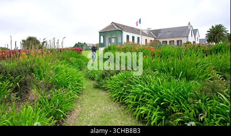 Isola di Sant'Elena, oceano Atlantico meridionale. Foto Stock