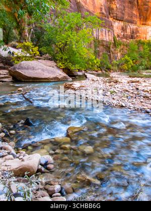 Il veloce fiume Virgin, che scorre su ciottoli arrotondati con la ripida scogliera di arenaria sullo sfondo del Parco Nazionale di Zion, Utah. Foto Stock