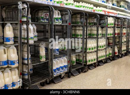 File di carrelli in metallo riempite con vari tipi di cartoni di latte in una corsia di un supermercato, con prodotti caseari pronti per l'acquisto. Foto Stock