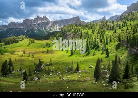 Spettacolare panorama alpino dal sentiero escursionistico che conduce alle famose cinque Torri con prati verdi, abeti e suggestive Dolomiti Foto Stock