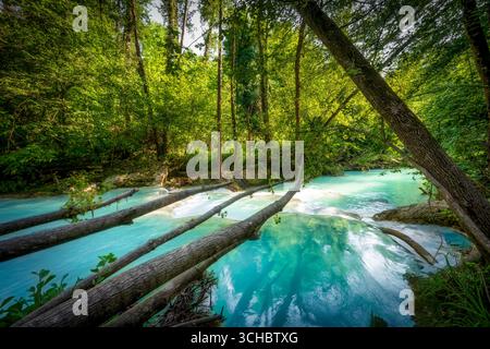 Acque cristalline turchesi del fiume Elsa con tronchi d'albero caduti che attraversano l'acqua circondati da una lussureggiante foresta verdeggiante lungo il sentiero escursionistico Sentierelsa, Coll Foto Stock