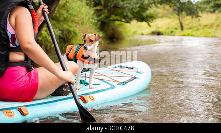 Jack Russell Terrier indossa un giubbotto di salvataggio di sicurezza in piedi su una tavola SUP mentre il proprietario pagaia sul fiume calmo, avventura attiva con gli animali domestici Foto Stock