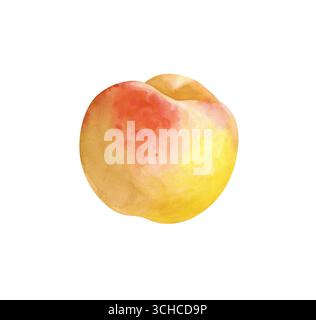 Una pesca intera rotonda è disegnata a mano. Illustrazione acquerello isolata su sfondo bianco. Un clipart per il confezionamento, i tessuti, il succo, lo scrapbooking Foto Stock