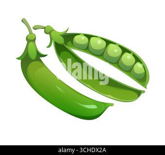 Cialde di pisello verde cartoni animati, verdure mature e crude isolate. Vettoriale di un pod intero e uno aperto con piselli visibili. Cibo fresco e salutare, piante da giardinaggio, prodotti agricoli e cibo vegetale vegetariano Illustrazione Vettoriale
