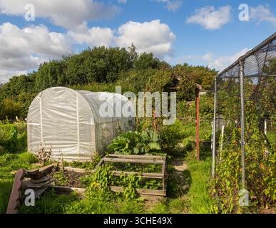 Riparto ricoperto di vegetazione con un polimetro e una gabbia di frutta in una giornata di sole nel Regno Unito. Foto Stock
