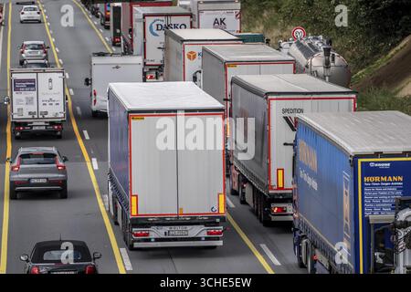 Ingorgo stradale sull'autostrada A1, tra lo svincolo Dortmund-Unna, A1 A44, e lo svincolo Kamener Kreuz, A1 A2, camion bloccati nella corsia di sinistra, lo Foto Stock
