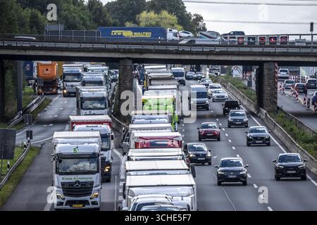 Ingorgo stradale sull'autostrada A1, tra lo svincolo Dortmund-Unna, A1 A44, e lo svincolo Kamener Kreuz, A1 A2, camion bloccati nella corsia di sinistra, lo Foto Stock